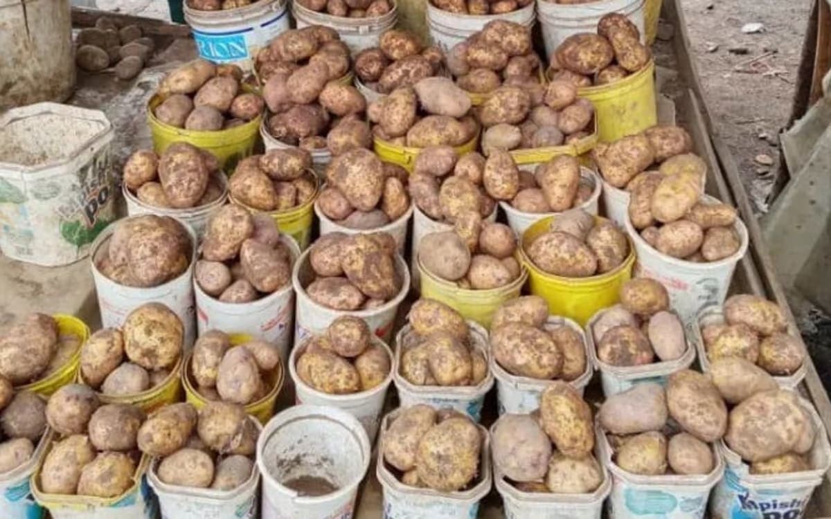 potatoes