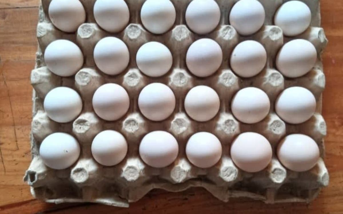 Poultry