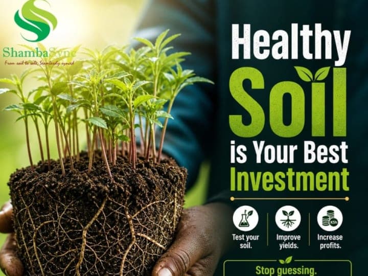 Soil testing