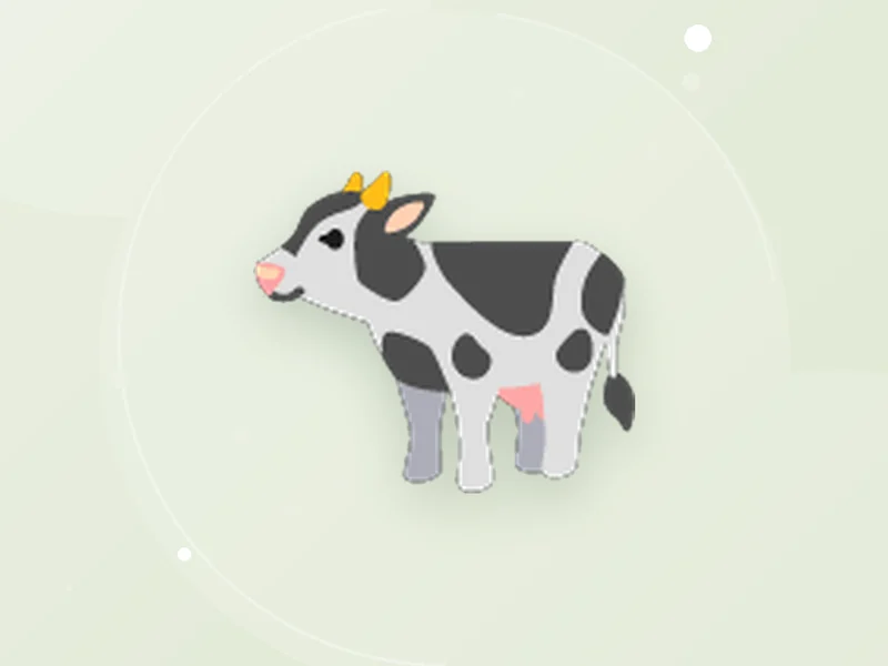 Illustration representing Two cows (in-calf heifer, freshly calved); not the actual stock