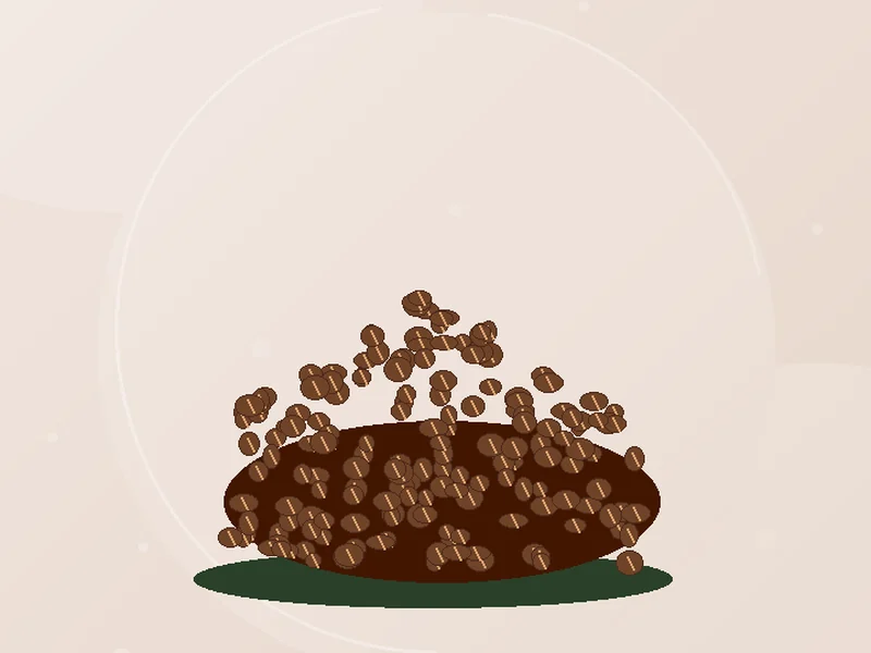 Illustration representing Coffee seedlings; not the actual stock